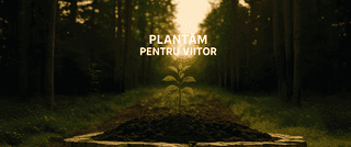 horizontal section image