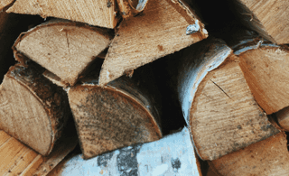 horizontal section image